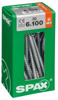 SPAX TRX Senkkopf WIROX 6x100 L 30 St