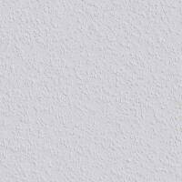 Rauhfaser 79 PRO 17,00 x 0,53 m 9,01 qm