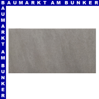 Feinsteinzeug, grau, 59,7x29,7x0,9, R10/FS/IV 1,26qm