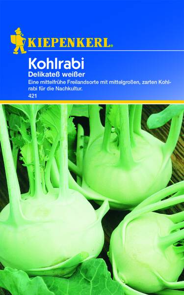 Kohlrabi Delikateß weißer