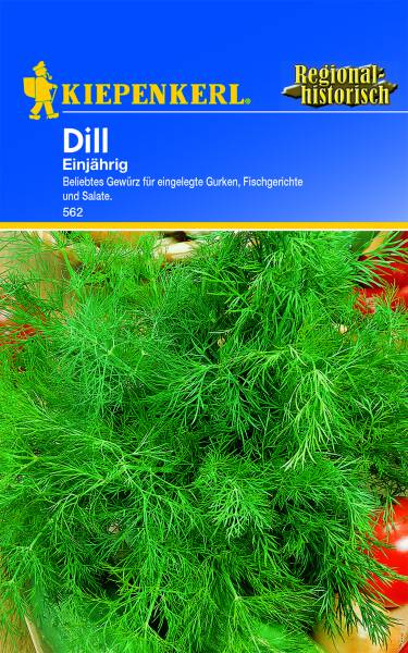 Dill, einjährig