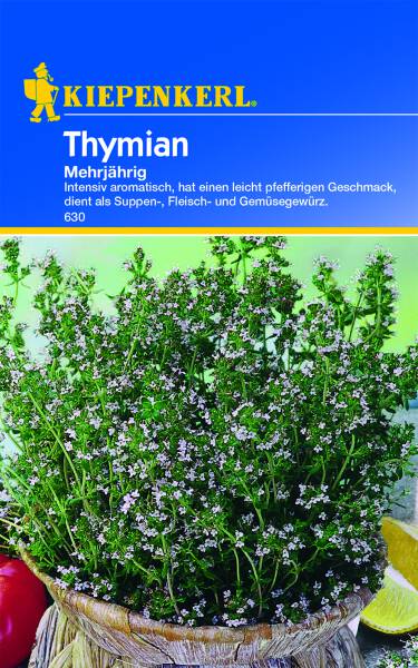 Thymian