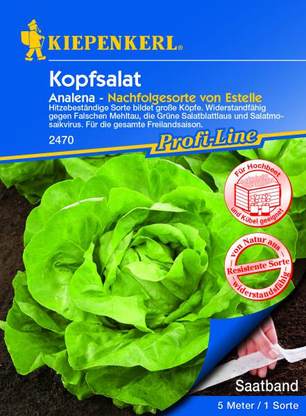 Kopfsalat Analena, Saatband