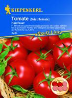 Salat-Tomate Harzfeuer, F1