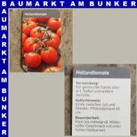 Hollandtomaten 9 cm Topf