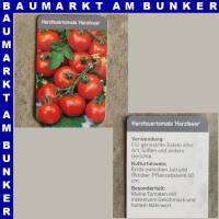 Harzfeuertomaten 9 cm Topf