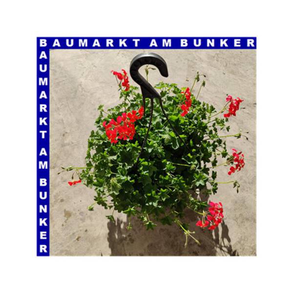 Geranien Ampel 25 cm Topf