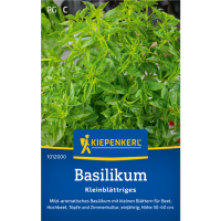 Basilikumsamen Kleinblättriges