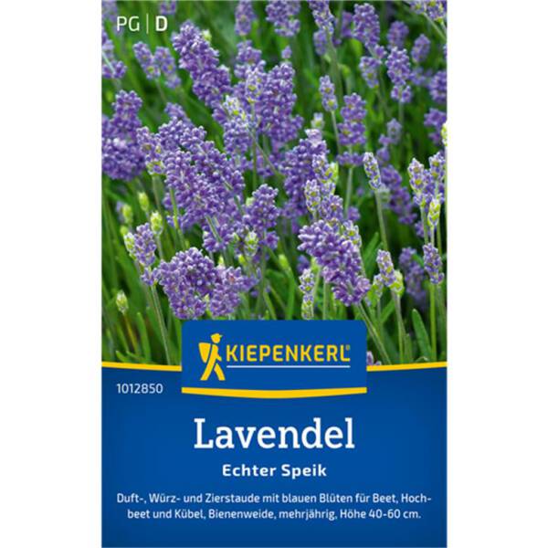 Lavendelsamen Echter Speik