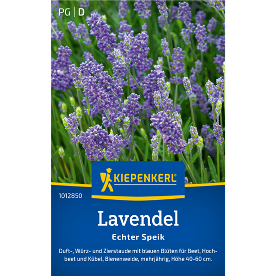 Lavendelsamen Echter Speik