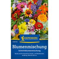 Blumenmsamen-Mischung Einjährige Sommerblumen