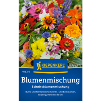 Blumenmsamen-Mischung Einjährige Sommerblumen