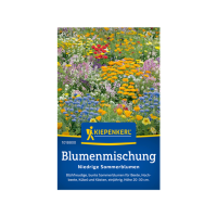 Blumensamen-Mischung Niedrige Sommerblumen