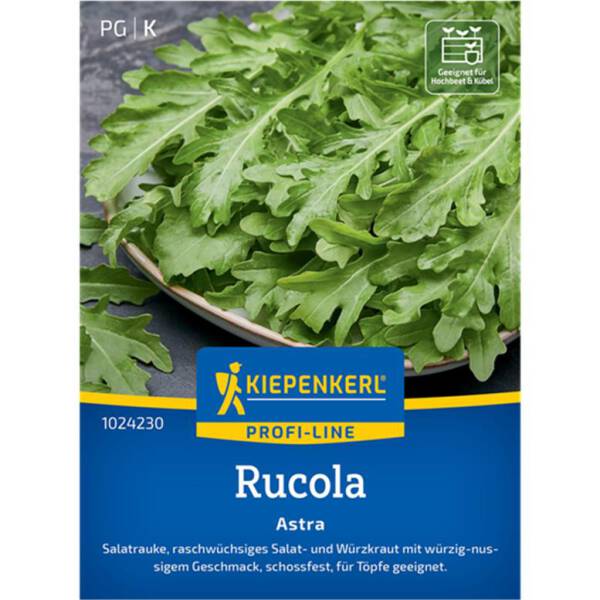 Rucolasamen Astra