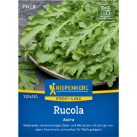 Rucolasamen Astra