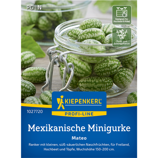 Mexikanische Minigurkensamen Mateo