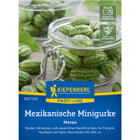 Mexikanische Minigurkensamen Mateo