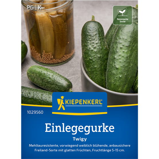 Einlegegurkensamen Twigy