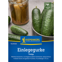 Einlegegurkensamen Twigy