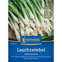 Lauchzwiebelsamen Tonda musona