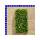 Jungpflanze Mascotte White Begonia sempaflorens 288 St