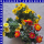 Bidens feruifolia Goldmarie Zweizahn 12 cm Topf