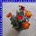 Bidens feruifolia Goldmarie Zweizahn 12 cm Topf