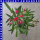 Nerium oleander 18 cm Topf