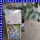 Eukalyptus Blaue Liebe 16 cm Topf