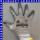 NITRIL grey Feinstrickhandschuh GR 8