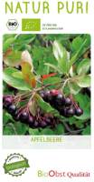 Aronia Busch Nero - Bio Apfelbeere 2 L Topf