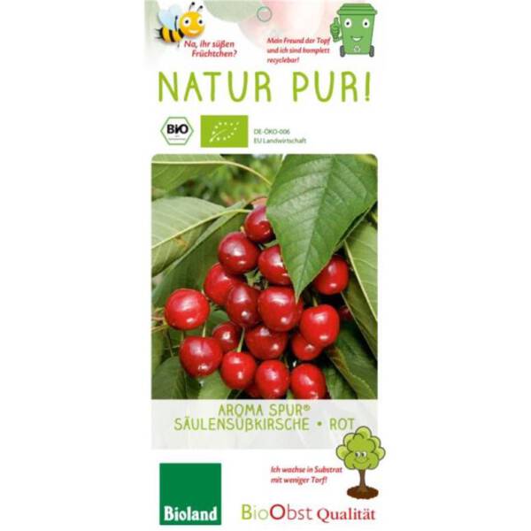 Bio Säulen Süßkirschbaum rot Aroma spur