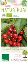 Bio Säulen Süßkirschbaum Aroma spur Rot