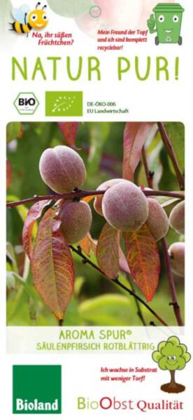 Bio Säulen Pfirsichbaum Aroma spur