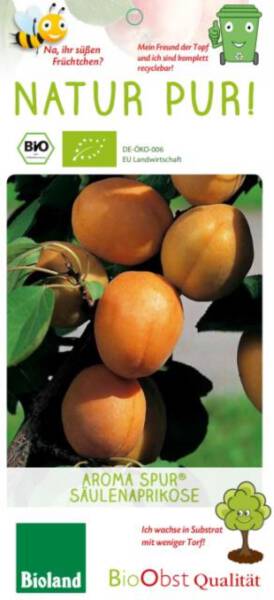 Bio Säulen Aprikosebaum Aroma spur