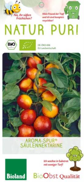 Bio Säulen Nektarinebaum Aroma spur