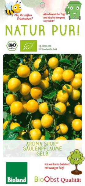 Bio Säulen Pflaumenbaum gelb Aroma spur