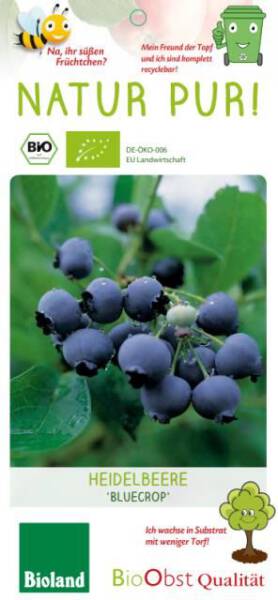 Bio Heidelbeere Vaccinium Bluecrop 3 L
