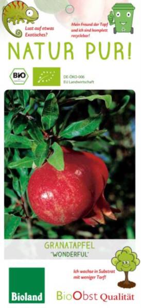 Bio Granatapfel Wonderful 3 L