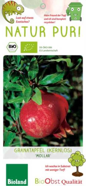 Bio Granatapfel Mollar kernlos 3 L