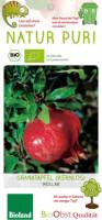 Bio Granatapfel Mollar kernlos 3 L