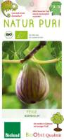 Bio Feigenbaum Bornholm fiscus carica 3 L