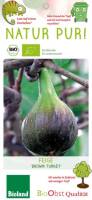 Bio Feigenbaum Brown Turkey fiscus carica 3 L