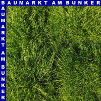 Sagina subulata Sternmoos 12 cm Topf