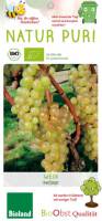Bio Weinrebe Muscat weiss 3 L