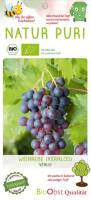 Bio Weinrebe Venus  BlauKernlos 3 L