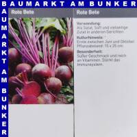 Rote Bete weiß rot geringelt 9 St in Schale