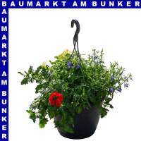 Mix Blumen Ampel 25 cm Topf