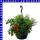 Mix Blumen Ampel 25 cm Topf