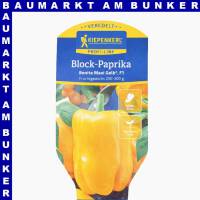 Veredelte Blockpaprika Benita Maxi gelb 12 cm Topf